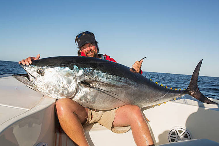 The Science Behind Tuna Fishing