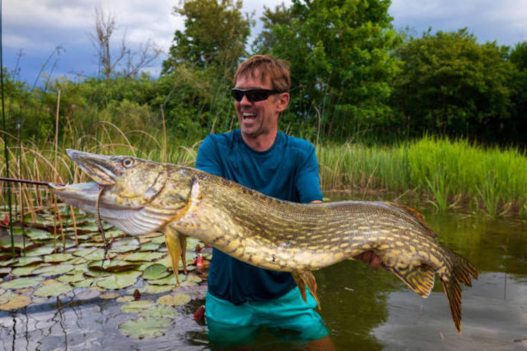 Spring Fishing for Pike & Musky